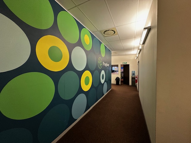 To Let Commercial Property for Rent in Observatory Western Cape